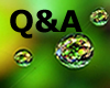 Q&A